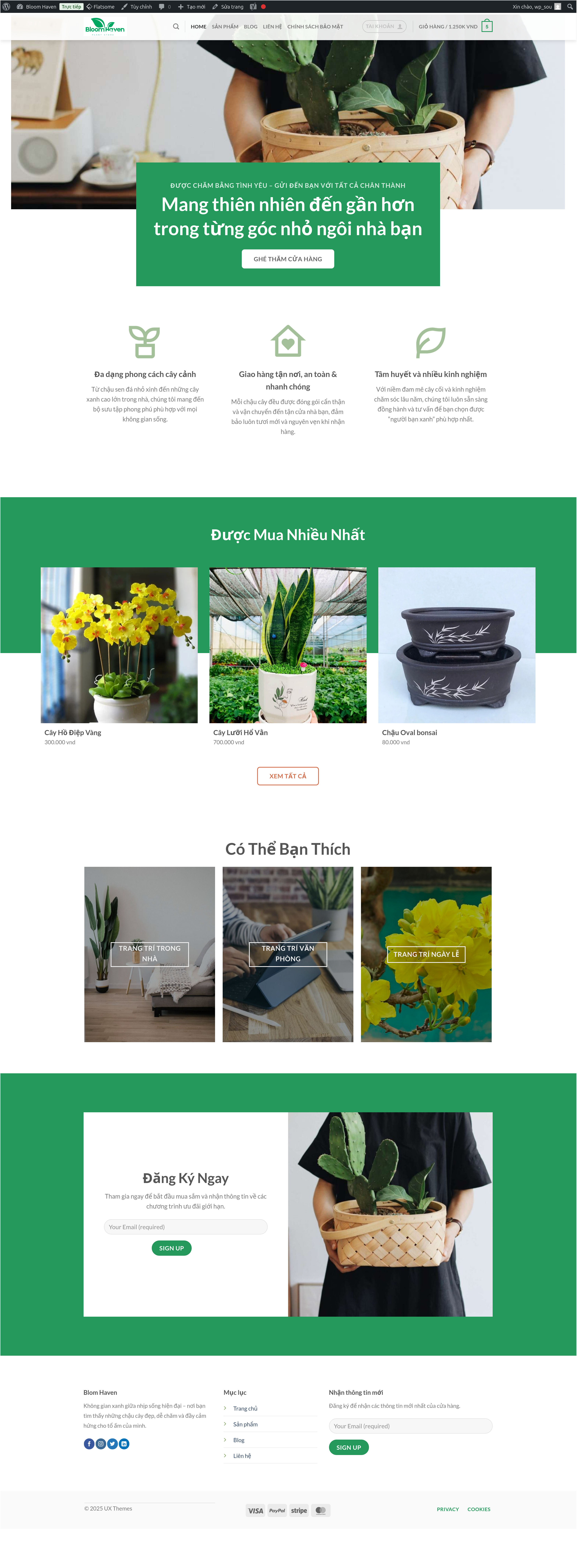 Giao diện Bloom Haven